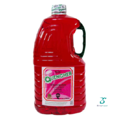 SAVANAH STRAWBERRY 5L