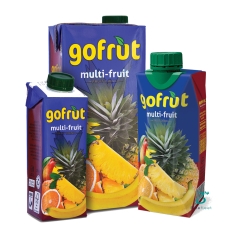 GOFRUT MULTI-FRUIT 1L