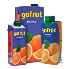 GOFRUT ORANGE 1L